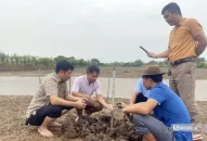 Nông dân Hải Phòng thu tiền tỷ mỗi năm nhờ nuôi rươi sinh sản