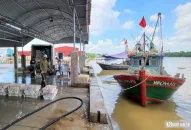 Hải Phòng: Được mùa tép biển, ngư dân kiếm tiền triệu mỗi ngày