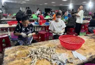 Liên quan đến việc chế biến chân gà của Công ty CP chế biến xuất nhập khẩu thủy sản Hải Phòng: Chưa có cơ sở kết luận mức độ vi phạm an toàn thực phẩm của doanh nghiệp