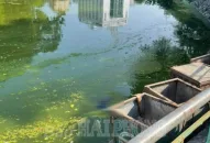 Phát hiện 1 thi thể tại hồ Quần Ngựa