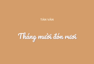 Tháng mười đón rươi