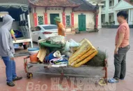 Xử phạt hành chính 2 đối tượng bẫy chim di cư tại xã Thiên Hương (Thủy Nguyên)