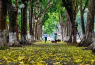 Miền Bắc đón đợt không khí lạnh tăng cường