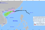 Tin bão trên biển Đông, cơn bão số 4, cập nhật 20h ngày 8/10/2023