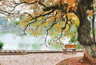 Bản tin dự báo, cảnh báo xu thế thời tiết trên đất liền thời hạn đến 10 ngày (từ đêm 10 đến ngày 20/10)