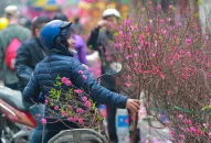 Trình Chính phủ phương án nghỉ Tết Âm lịch và Lễ Quốc khánh năm 2024