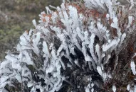 Tin không khí lạnh tăng cường: Bắc Bộ trời chuyển rét, có nơi dưới 16 độ C