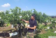 Hải Phòng: Biến ruộng bỏ hoang thành “đất vàng” thu tiền tỷ