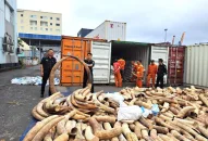 Cục Hải quan Hải Phòng: Những chiến công xuất sắc trong đấu tranh chống buôn lậu, gian lận thương mại và hàng giả