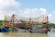 Ngư dân vào vụ khai thác cá Bắc: Nắm chắc thời tiết, thông tin ngư trường
