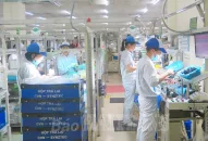 Thị trường việc làm cuối năm 2023: Nhu cầu tuyển dụng tăng cao