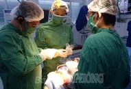 Bệnh viện hữu nghị Việt Tiệp: Phẫu thuật vi phẫu thành công trường hợp mắc ung thư da đầu hiếm gặp