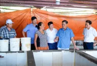 Kết luận của Chủ tịch Ủy ban nhân dân thành phố tại buổi kiểm tra thực địa về công tác quản lý đất đai và triển khai một số dự án trên địa bàn huyện Cát Hải