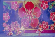 Cuộc thi Sáng tác các ca khúc về thành phố Hải Phòng: 10 ca khúc vào vòng chung kết