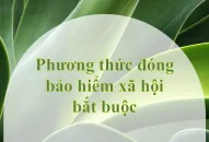 Phương thức đóng bảo hiểm xã hội bắt buộc