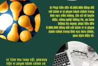 Chủ tịch Ủy ban nhân dân cấp xã có quyền: Phạt tiền đến 10.000.000 đồng đối với hành vi vi phạm hành chính trong lĩnh vực viễn thông, tần số vô tuyến điện, công nghệ thông tin, an toàn thông tin mạng