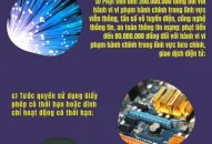 Chủ tịch Ủy ban nhân dân cấp tỉnh có quyền: Phạt tiền đến 200.000.000 đồng đối với hành vi vi phạm hành chính trong lĩnh vực viễn thông, tần số vô tuyến điện, công nghệ thông tin, an toàn thông tin mạng