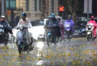 Ảnh hưởng không khí lạnh, miền Bắc có nơi mưa to