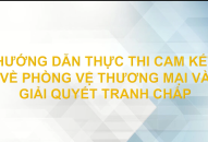 Ứng phó với những vụ kiện phòng vệ thương mại từ các nước đã ký FTA   