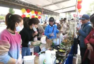 Hàng nghìn người dân và du khách tham gia chương trình “Hải Phòng thứ Bảy rong chơi”