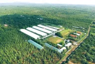 Phát triển kinh tế gắn với tăng trưởng xanh, bền vững