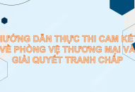 Áp dụng các quy định về giải quyết tranh chấp trong các FTA ASEAN nội và ngoại khối   