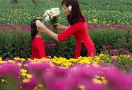 Làng hoa Đằng Hải