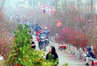 Thời tiết Tết Dương lịch và Tết Nguyên đán Giáp Thìn 2024 có rét đậm không?