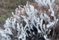 Tin không khí lạnh tăng cường và rét, cập nhật lúc 9 giờ 30 phút ngày 18/12/2023