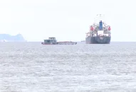 Cơ hội và thách thức khi tham gia các FTA