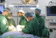 Phẫu thuật cấp cứu thành công bé trai bị chó cắn gây tổn thương nặng vùng mặt