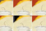 Dẹp bỏ các hoạt động tuyên truyền xá lợi Phật theo lối mê tín dị đoan