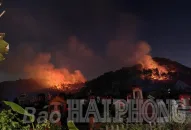 Cơ bản khống chế được đám cháy ở núi Đào Sơn, xã Thủy Sơn (huyện Thủy Nguyên)