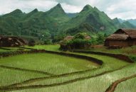 Các hành vi bị nghiêm cấm trong lĩnh vực đất đai