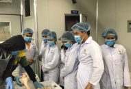 Chủ động phòng, chống bệnh Cúm gia cầm trên địa bàn Hải Phòng