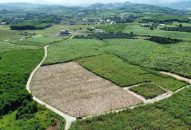 Luật Đất đai 2024: Quy định hạn mức giao đất nông nghiệp