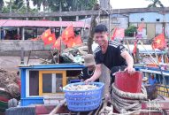 Hải Phòng: Ngư dân phấn khởi vì “lộc biển” đầu Xuân được giá