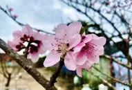 Không khí lạnh về, miền Bắc mưa rét trước Tết, mùng 1 nắng đẹp