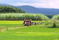 Luật Đất đai 2024: Quy định tách thửa đất, hợp thửa đất