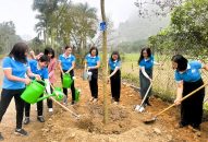 Hội Liên hiệp Phụ nữ thành phố phát động trồng cây với chủ đề “Phụ nữ Hải Phòng vun trồng tương lai”