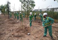 Trồng 800 cây xanh các loại tại Khu liên hợp xử lý chất thải rắn Gia Minh để bảo vệ môi trường xung quanh