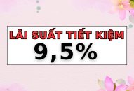 Xuất hiện 1 ngân hàng có lãi suất tiết kiệm 12 tháng hơn 9,5%