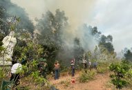 Thông tin về cháy rừng tại núi Sơn Đào, Thủy Sơn, Thủy Nguyên