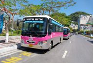 Tăng tần suất hoạt động xe buýt tuyến số 14: Thị trấn Cát Bà-Bến phà Cái Viềng lên 60 lượt/ngày trong dịp nghỉ lễ 30/4, 1/5