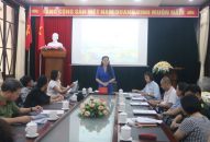 Trình diễn Festival Khinh khí cầu hưởng ứng Lễ hội Hoa Phượng Đỏ-Hải Phòng 2024 diễn ra từ 11 đến 13/5/2024