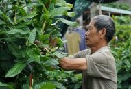 Hải Phòng quản lý nông nghiệp bằng bản đồ số