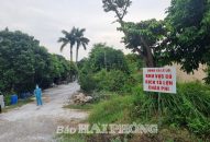 Dịch tả lợn châu Phi tiếp tục xảy ra tại 2 xã của huyện Thủy Nguyên