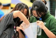 Thủ khoa của cả nước đạt 29,75 điểm