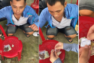 Công an các huyện Vĩnh Bảo và An Dương bắt giữ 3 đối tượng tàng trữ trái phép chất ma túy