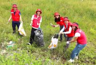 Dọn vệ sinh bãi biển – LGD Cleanup Haiphong tại xã Đồng Bài, huyện Cát Hải
